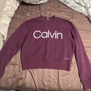 Calvin Klein cropped eggplant purple crewneck